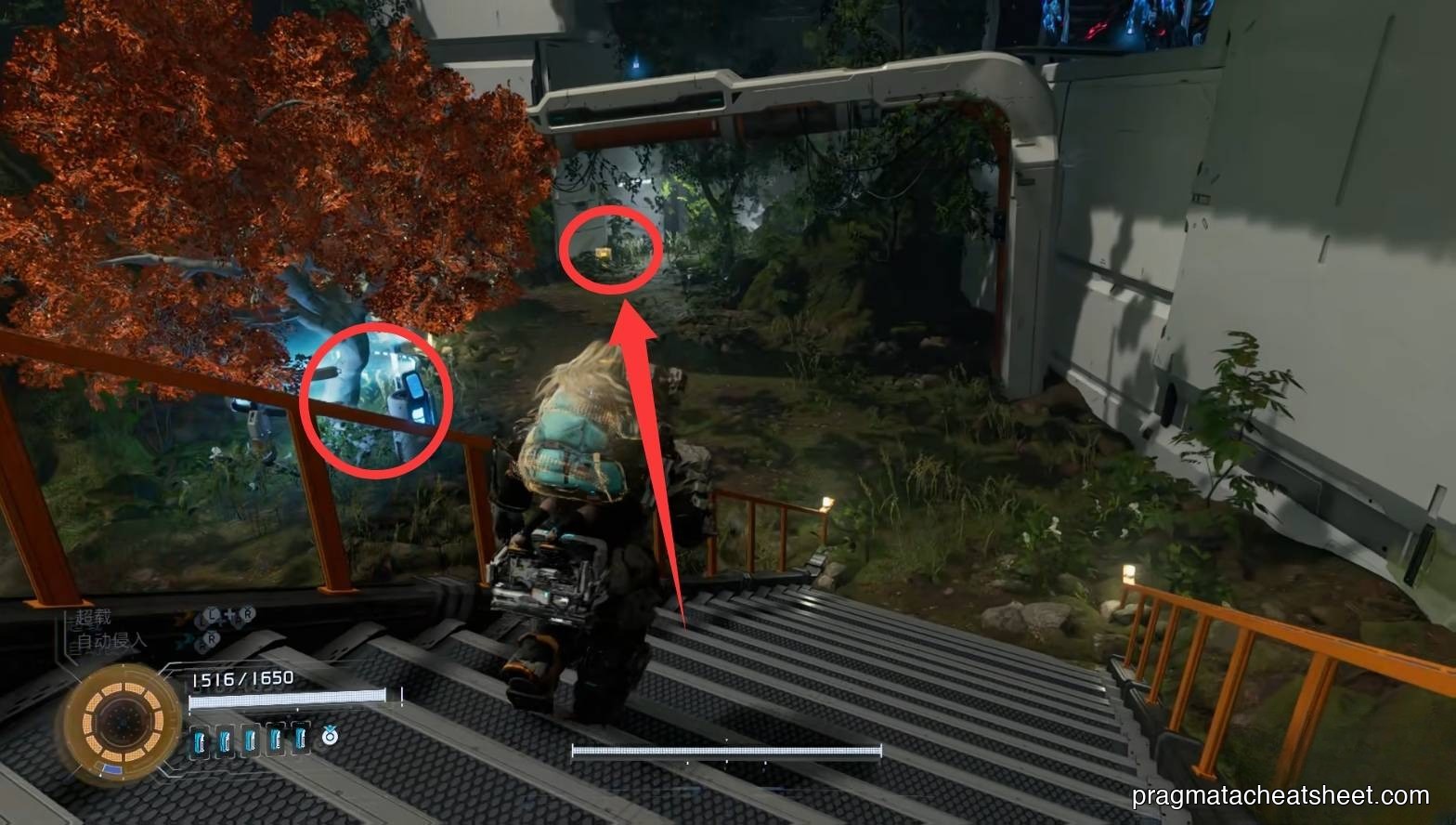 First Cultivation Chip spot