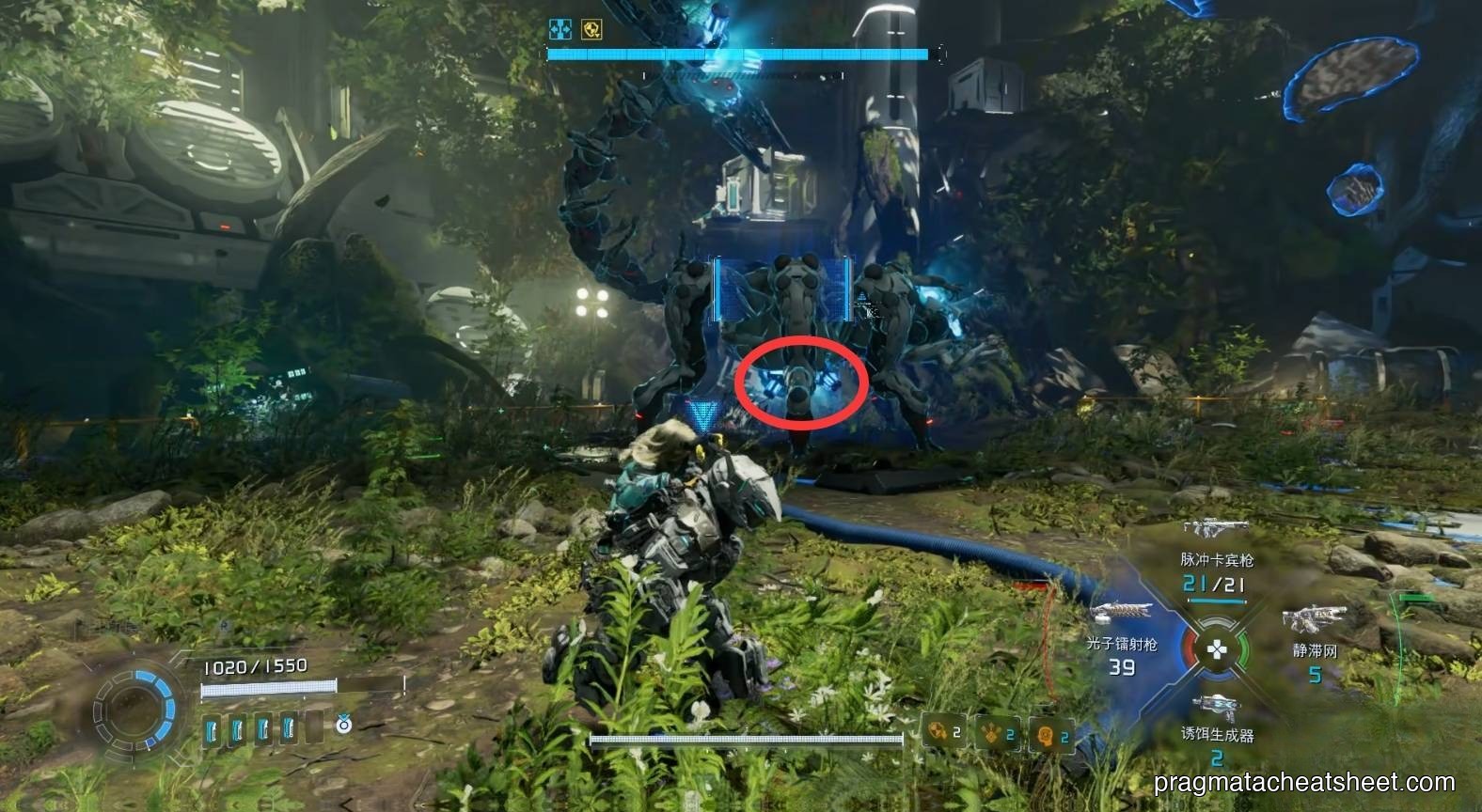 Secondary weak point on the belly when it rears up